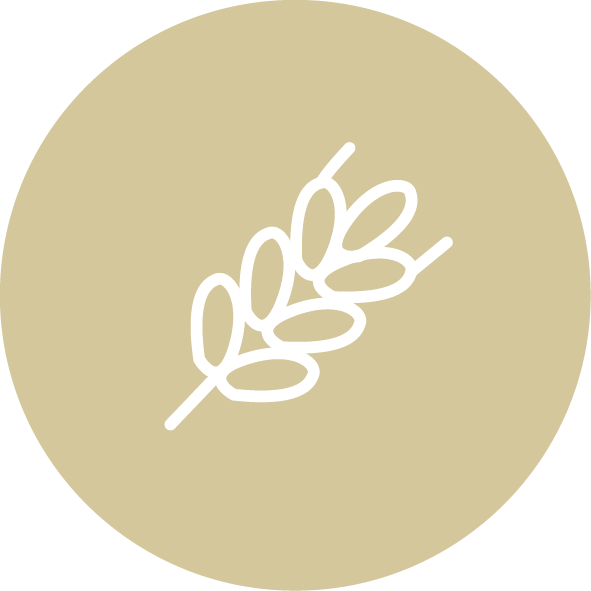 Usine d'aliments